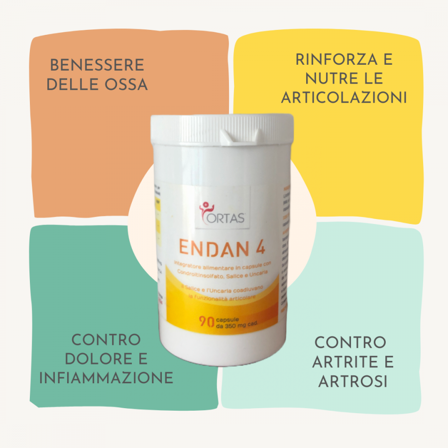 ENDAN 4  Offerta per l'autunno e inverno 2024
