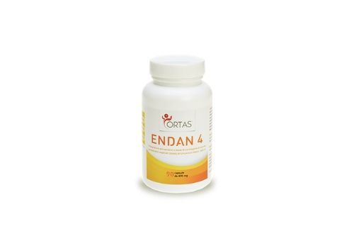 ENDAN 4