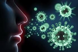 ERAVIRAL: Action of the ingredients from published studies