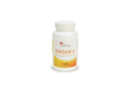 ENDAN 4