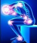 ENDAN4 for the wellness of articular cartilage